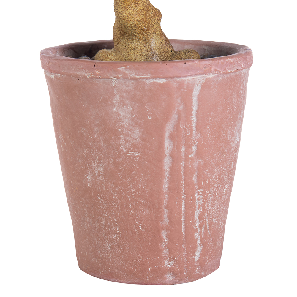 Potted Real Touched Heart Shaped Ficus (H80cm) - Image 7