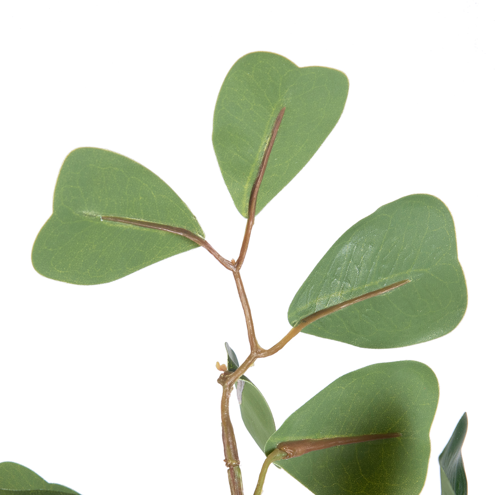 Potted Real Touched Heart Shaped Ficus (H80cm) - Image 2