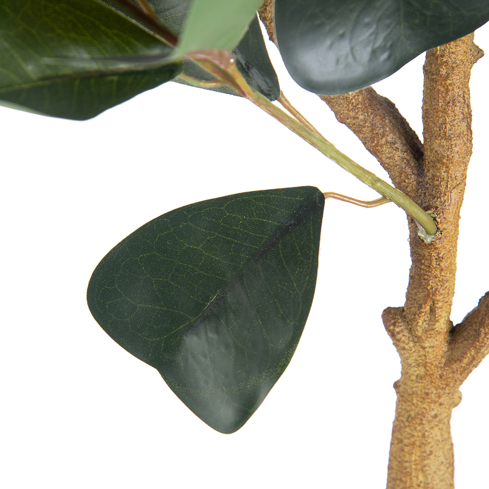 Potted Real Touched Heart Shaped Ficus (H80cm) - Image 3