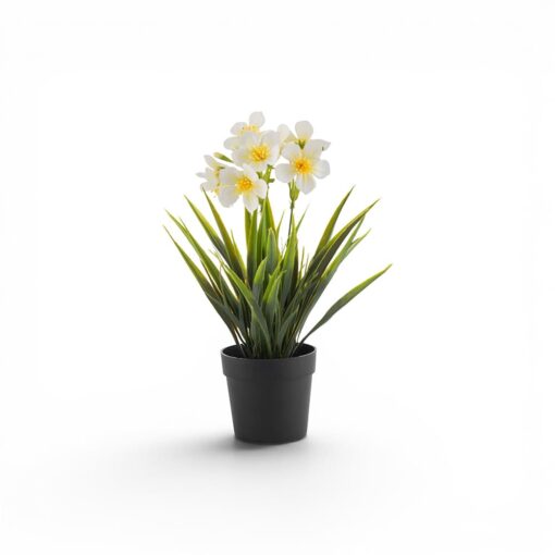 Potted Periwinkle